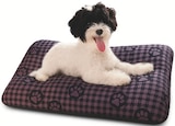 Hundekissen im Wreesmann Prospekt Hundekissen von im aktuellen Wreesmann Prospekt für 5,99 €