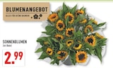 SONNENBLUMEN im Angebot bei Marktkauf in Hagen SONNENBLUMEN Angebote bei Marktkauf Hagen für 2,99 €