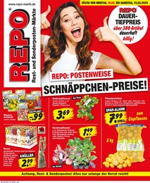 Repo Prospekt mit 12 Seiten (Neubrandenburg)