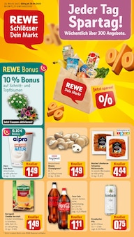 REWE Prospekt Dein Markt mit 20 Seiten