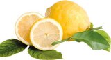 E center Emsdetten - Italien Blatt-Zitronen Angebot im Prospekt Italien Blatt-Zitronen bei E center im Emsdetten Prospekt für 0,99 €