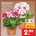 Netto Marken-Discount Nauheim Prospekt mit  im Angebot für 2,99 €