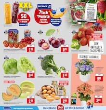 Tomaten im aktuellen Marktkauf Prospekt (Ulm) Tomaten im Marktkauf Prospekt "Aktuelle Angebote" mit 45 Seiten (Ulm)