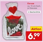 Eisrose Angebote bei Netto Marken-Discount Ahlen für 6,99 €