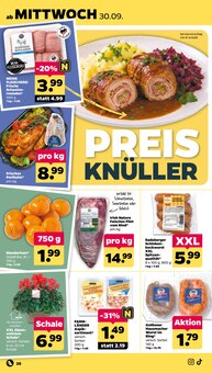 Radeberger im Netto mit dem Scottie Prospekt "Günstig. Besser. Für Dich." mit 41 Seiten (Halle (Saale))