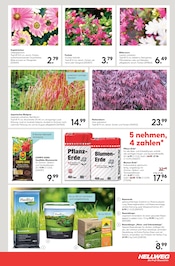 Ähnliche Angebote wie Mutterboden im Prospekt "Die Profi-Baumärkte" auf Seite 17 von Hellweg in Osnabrück