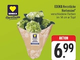 EDEKA - Hortensien Angebot im Prospekt Hortensien bei EDEKA im Prospekt "" für 6,99 €