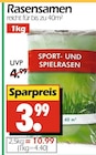 Rasensamen Sport- und Spielrasen im Wreesmann Prospekt Rasensamen Sport- und Spielrasen von im aktuellen Wreesmann Prospekt für 3,99 €