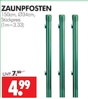ZAUNPFOSTEN im Angebot bei Wreesmann in Stendal ZAUNPFOSTEN Angebote bei Wreesmann Stendal für 4,99 €