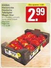 WEZ Rahden Prospekt mit  im Angebot für 2,99 €