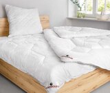 Aktuelle Kopfkissen Angebote bei porta Möbel in Hildesheim Aktuelles BETTEN-SERIE „EASY DREAM“ Angebot bei porta Möbel in Hildesheim ab 29,99 €