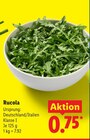 Aktuelles Rucola Angebot bei Lidl in Pforzheim ab 0,75 €