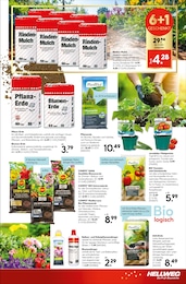 Blumenerde Angebot im aktuellen Hellweg Prospekt auf Seite 17