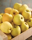 Promo Pomme à 1,49 € dans le catalogue Intermarché à Prix-lès-Mézières