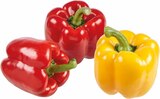 Paprika Duo im Angebot bei EDEKA in Warendorf Paprika Duo Angebote von LS bei EDEKA Warendorf für 2,22 €
