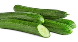 Bio-Gurke von Naturgut Bio im aktuellen Penny Prospekt