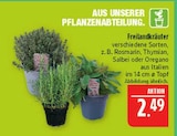 Aktuelles Freilandkräuter Angebot bei Marktkauf in Leipzig ab 2,49 €