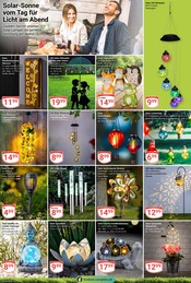 Aktueller GLOBUS Prospekt mit Solarlampe, "Aktuelle Angebote", Seite 29