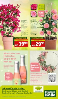 Blumen im Pflanzen Kölle Prospekt "Doppelte Liebe, doppeltes Fest!" mit 16 Seiten (Nürnberg)