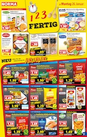 Aktueller Norma Prospekt mit Tiefkühlkost, "Mehr fürs Geld", Seite 9