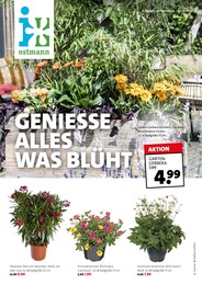 Blumen Ostmann Prospekt für Bad Zwischenahn: GENIESSE ALLES WAS BLÜHT, 4 Seiten, 15.05.2022 - 22.05.2022