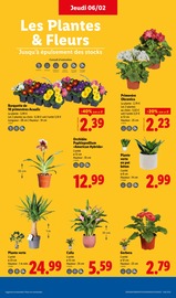 Plantes Angebote im Prospekt "Moins Cher !" von Lidl Plantes Angebote im Prospekt "Moins Cher !" von Lidl auf Seite 35