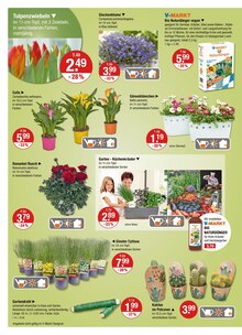 Blumen im V-Markt Prospekt "V-Markt einfach besser einkaufen" mit 26 Seiten (München)