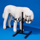 SUPPORT GAMELLE INOX RÉGLABLE POUR CHIEN TRUF&CO - TRUF'&CO dans le catalogue Auchan Hypermarché