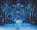 DIE EISKÖNIGIN Das Musical in Stuttgart im Angebot bei Lidl in Dortmund DIE EISKÖNIGIN Das Musical in Stuttgart Angebote von Disneys bei Lidl Dortmund für 99,00 €
