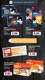 Aktueller REWE Prospekt mit Brötchen, "Dein Markt", Seite 7