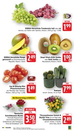 Gemüse im EDEKA Prospekt in Ludwigshafen Aktueller EDEKA Prospekt mit Gemüse, "Aktuelle Angebote", Seite 11