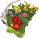 Aktuelles Frühlingsstarter Angebot bei REWE in Heidelberg ab 5,79 €