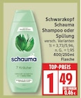 Schauma Shampoo oder Spüllung von Schwarzkopf im aktuellen EDEKA Prospekt