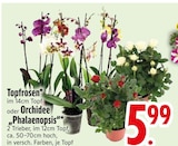 Topfrosen von  im aktuellen EDEKA Prospekt für 5,99 €