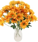 Penny - Chrysanthemen Angebot im Prospekt Chrysanthemen bei Penny im Prospekt "" für 2,49 €