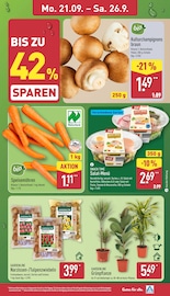 Tulpen im ALDI Nord Prospekt in Unna Aktueller ALDI Nord Prospekt mit Tulpen, "Aktuelle Angebote", Seite 3
