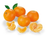 Mandarinen bei REWE im Erwitte Prospekt für 1,79 €