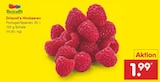 Netto Marken-Discount Mainz - Himbeeren Angebot im Prospekt Himbeeren bei Netto Marken-Discount im Mainz Prospekt für 1,99 €