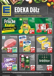 EDEKA Prospekt für Machern mit 28} Seiten EDEKA Prospekt für Machern: "Wir lieben Lebensmittel!", 28 Seiten, 08.12.2025 - 13.12.2025