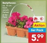 Beetpflanzen für 5,99 € bei Netto Marken-Discount im Angebot Beetpflanzen im aktuellen Netto Marken-Discount Prospekt