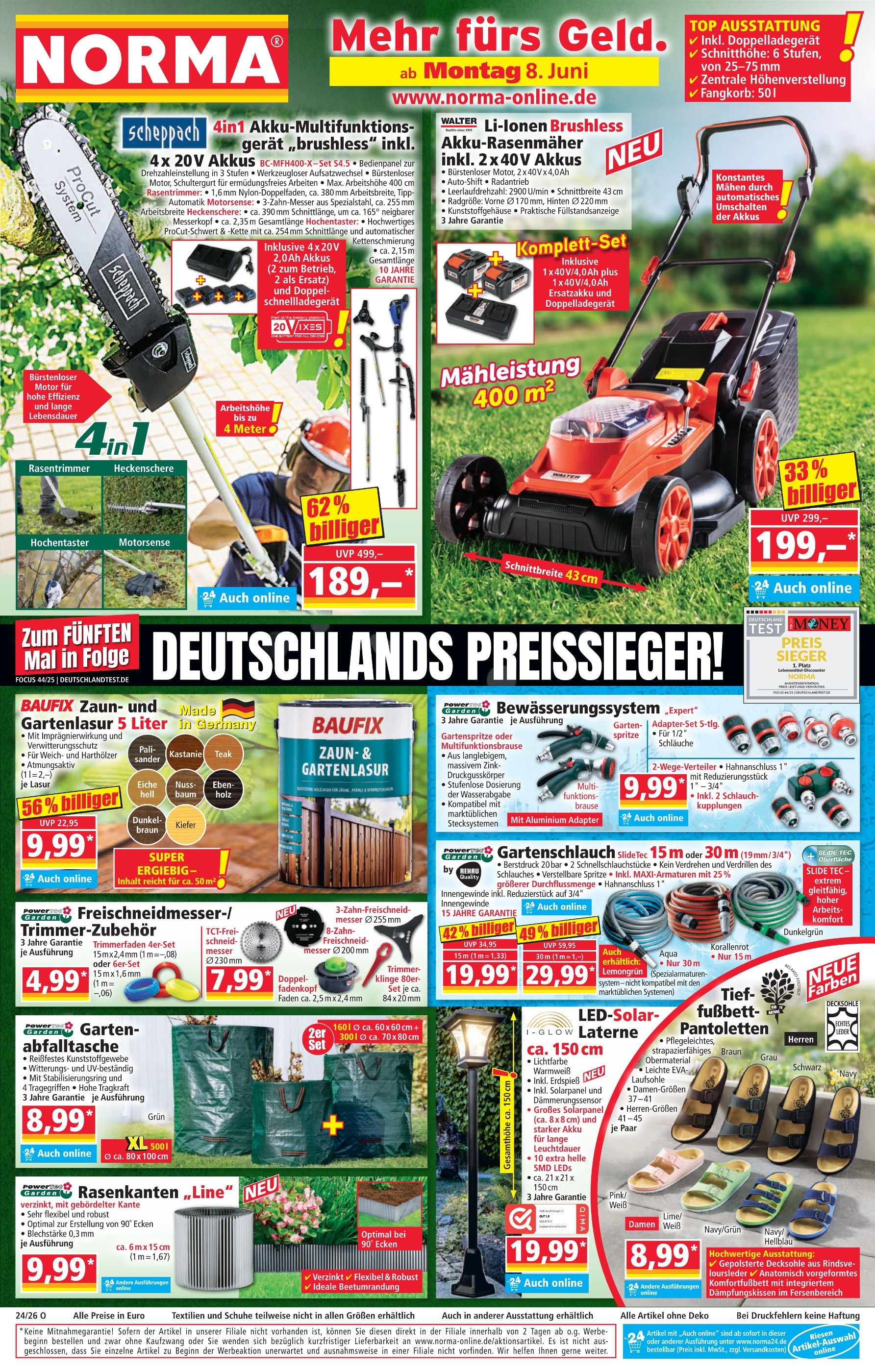 erdbeere elsanta im blumenkasten Erdbeer-Pflanze 'Elsanta'