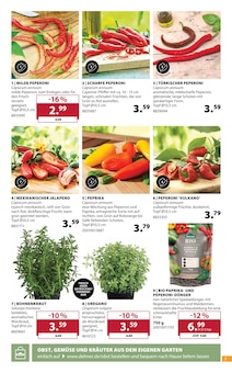 Paprika im Dehner Garten-Center Prospekt "Am 10. Mai ist Muttertag!" mit 18 Seiten (Koblenz)