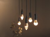 LED-Lampen Angebot in Bad Lauterberg LED-Lampen im aktuellen Prospekt bei Lidl in Bad Lauterberg