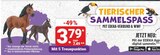 Spielfiguren Angebote bei diska Coburg für 3,79 €