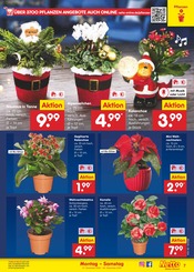 Aktueller Netto Marken-Discount Prospekt mit Weihnachten, "Aktuelle Angebote", Seite 7