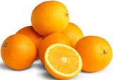 Orangen bei Penny im Hattorf Prospekt für 2,29 €