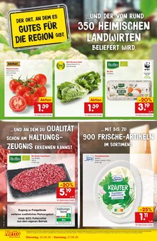 Netto Marken-Discount Oederan Prospekt der aktuellen Woche, gültig von 23.06.2026 bis 27.06.2026 Aktueller Netto Marken-Discount Oederan Prospekt "Wiedereröffnung - 10% auf ALLES" mit 4 Seiten