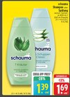 E center Rhede - Shampoo oder Spülung Angebot im Prospekt Shampoo oder Spülung bei E center im Rhede Prospekt für 1,39 €