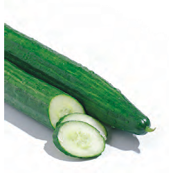 Gurke