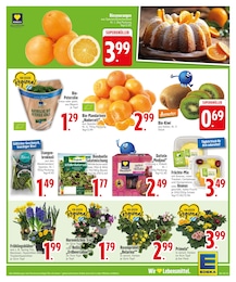 EDEKA Mandarinen im Prospekt 